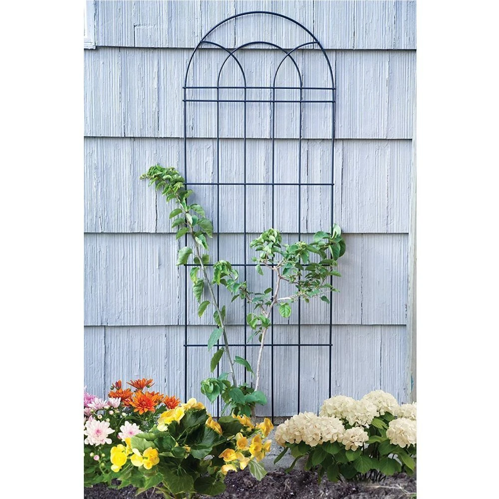 Panacea 182cm Black Trellis 4 Panacea 182cm Black Trellis - Image 2