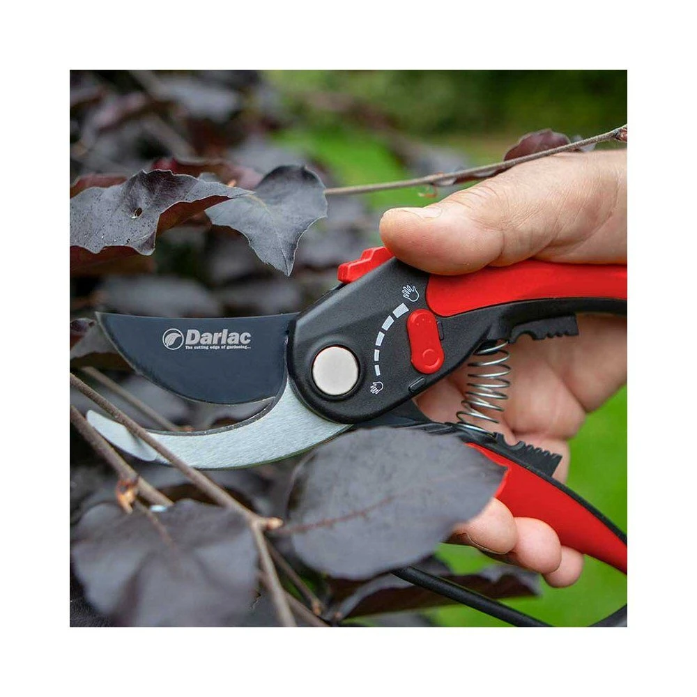 Darlac Adjustable Bypass Pruner 4 Darlac Adjustable Bypass Pruner - Image 2
