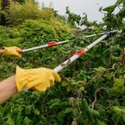 Outlet The Gardeny Store -Outlet The Gardeny Store 5050581004336 2