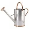 Smart Garden 9 Litre Galvanised Steel Watering Can -Outlet The Gardeny Store 5050642047234 2302db94 df29 471a b2b0 3be02c85f72a