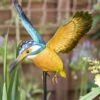 La Hacienda Inquisitive Kingfisher Stake -Outlet The Gardeny Store 5055025558710