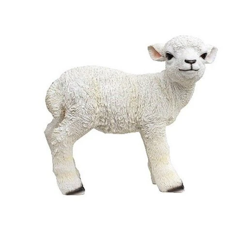 Vivid Arts 50cm Standing Lamb - XRL-LAMB-A 1 Vivid Arts 50cm Standing Lamb - XRL-LAMB-A -Outlet The Gardeny Store 5055195014757