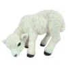 Vivid Arts 31cm Standing Lamb - XRL-LAMB-D -Outlet The Gardeny Store 5055195015518