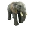 Vivid Arts 55cm Elephant Resin - XRL-ELPH-A -Outlet The Gardeny Store 5055195016249