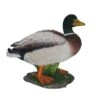Vivid Arts 32cm Mallard Duck - XRL-MLLD-A 1 Vivid Arts 32cm Mallard Duck - XRL-MLLD-A -Outlet The Gardeny Store 5055195016713