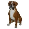 Vivid Arts 47cm Boxer Dog - XRL-BOXR-A -Outlet The Gardeny Store 5055195017628