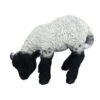 Vivid Arts 31cm Black / White Standing Lamb - XRL-BLLB-D -Outlet The Gardeny Store 5055195017697