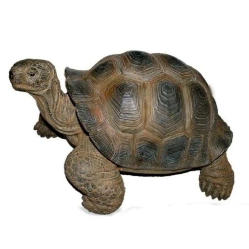 Vivid Arts 27cm Giant Tortoise -XRL-GTRT-D -Outlet The Gardeny Store 5055195018816