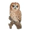 Vivid Arts 31.5cm Tawny Owl - XRL-TWNY-B -Outlet The Gardeny Store 5055195019448 c1876a6d fd06 4298 b9e0 29c74b19bfd2