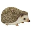 Vivid Arts 13cm Pet Pals Pygmy Hedgehog - PP-PHED-F -Outlet The Gardeny Store 5055195019943