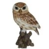 Vivid Arts 22cm Little Owl - XRL-LTWL-D -Outlet The Gardeny Store 5055195019981 6c6be2ff 1f1b 44e8 9a32 cdc02d0af566