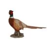 Vivid Arts 52cm Pheasant - XRL-NT04 -Outlet The Gardeny Store 5055195020789 7ad3e4d2 7c33 4dad b878 58606602649f