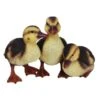 Vivid Arts 23cm Standing Duckling Group - NF-DK26-D -Outlet The Gardeny Store 5055195023674