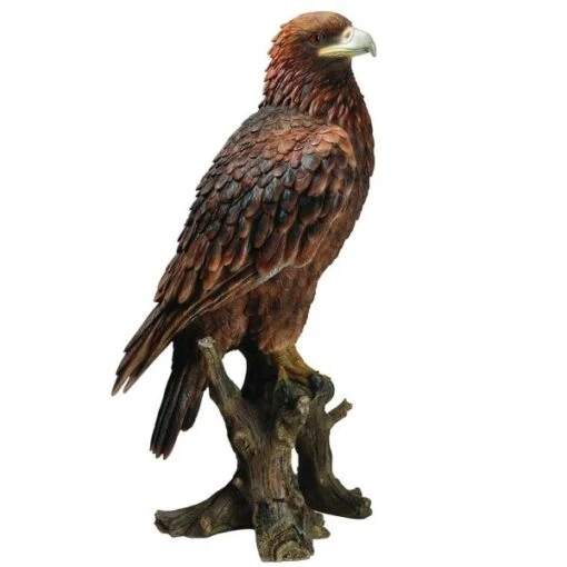 Vivid Arts 69cm Golden Eagle - XRL-GDEG-A -Outlet The Gardeny Store 5055195024312