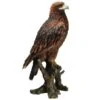 Vivid Arts 40cm Golden Eagle - XRL-GDEG-B -Outlet The Gardeny Store 5055195024879