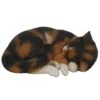 Vivid Arts 27cm Sleeping Tortoiseshell Cat - XRL-ZC32-B -Outlet The Gardeny Store 5055195025036
