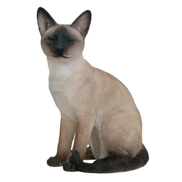Vivid Arts 22cm Siamese Sitting Cat Garden 3 Vivid Arts 22cm Siamese Sitting Cat Garden