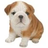 Vivid Arts 19cm Bulldog Puppy Pet Pals - PP-BDOG-F -Outlet The Gardeny Store 5055195025319
