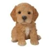 Vivid Arts 16cm Pet Pals Brown Cockapoo Puppy - PP-CKP5 -Outlet The Gardeny Store 5055195025593