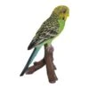 Vivid Arts 16cm Green Budgerigar Pet Pal - PP-BDG4-F -Outlet The Gardeny Store 5055195025753