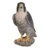 Vivid Arts 25cm Peregrine Falcon - XRL-PFAL-B -Outlet The Gardeny Store 5055195025807