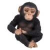 Vivid Arts 14cm Pet Pals Sitting Baby Chimp - PZ-CHM3-F -Outlet The Gardeny Store 5055195030498