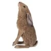 Vivid Arts 35cm Moon Gazing Hare - XRL-HR01-A -Outlet The Gardeny Store 5055195036582