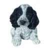 Vivid Arts Black & White Cocker Spaniel Puppy - PP-CKB -Outlet The Gardeny Store 5055195036759