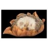 Vivid Arts Baby Hedgehog Sleeping On Leaf XRL-HH09-F -Outlet The Gardeny Store 5055195037596