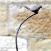 Woodlodge 155cm Bird Plant Support 1 Woodlodge 155cm Bird Plant Support -Outlet The Gardeny Store 5056200014267
