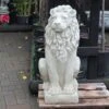 The Stone Studio Lion Looking Right -Outlet The Gardeny Store 5060044990106